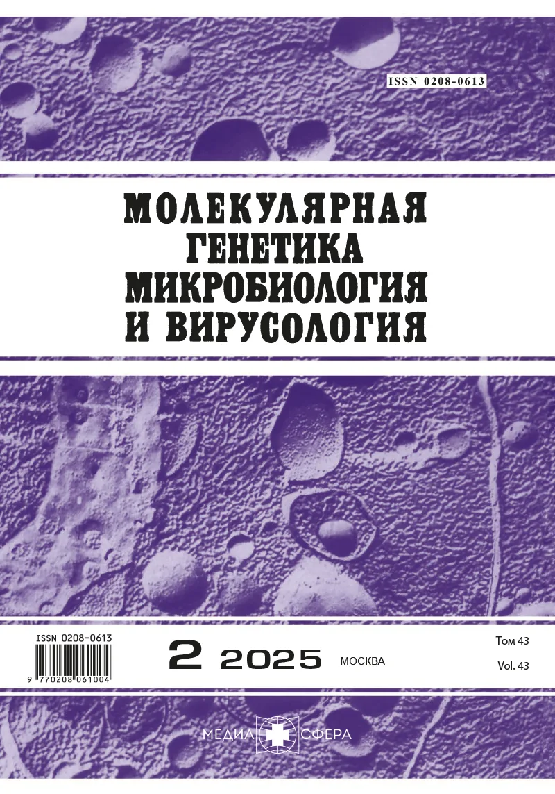 Повышение эффективности кандидатной чумной вакцины за счет включения в ее состав двух штаммов, аттенуированных по разным молекулярным мишеням