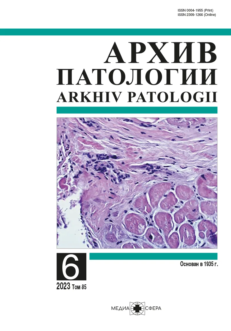 Алексей Владимирович Кононов (к 70-летию со дня рождения)