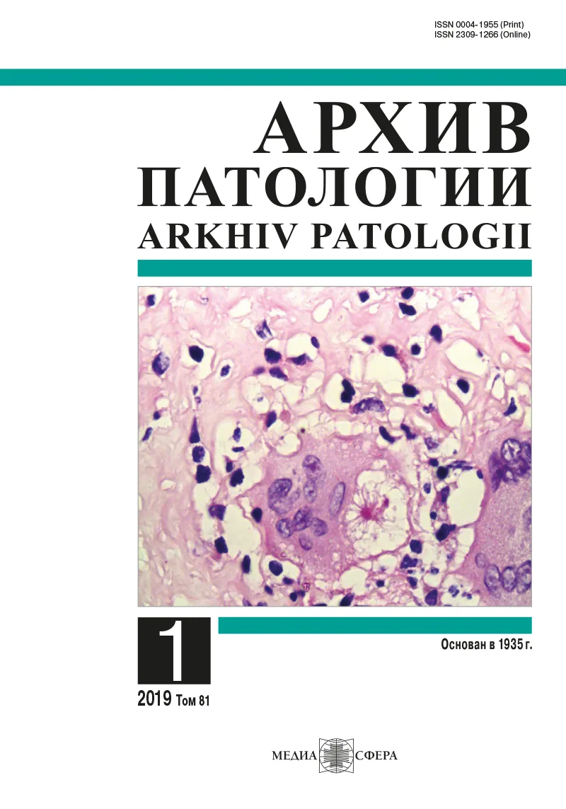 Виктор Владимирович Ермилов (к 70-летию со дня рождения)